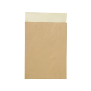 キングコーポレーション 封筒 W250xH335xD30mm 100枚入 テープ付き 定形外封筒 マチ付き 未晒し(茶色) メーカー品番:190411 定形外郵便物(規格内) 紙厚:100g/平米