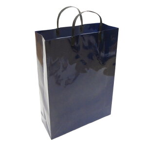 GqH@񂰑܁@10@^Cv@~l[gobO@lCr[@[J[i:LBL-N@TCY:W330xH440xD110mm@ގ:R[g@:157g/ā@OX~l[gH@蓯m