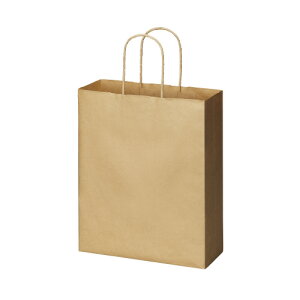 RNO[v@񂰑܁@@S^Cv@50@@ۂЂ@iNj@[J[i:4255-2673@TCY:260320}`100mm@ގ:NNtg@:80g/ā@: