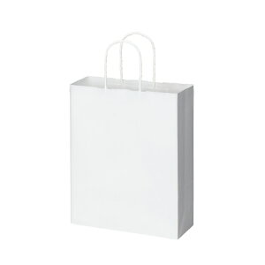 RNO[v@񂰑܁@S^Cv@50x3g@@ۂЂ@iNj@[J[i:4255-3984@TCY:260320}`100mm@ގ:NNtg@:100g/ā@:ۂЂ