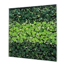 ベルク　インテリアパネル　インテリアデコ　ウォールグリーン　GR3571 室内　壁　インテリア　おしゃれ　送料無料 緑　植物