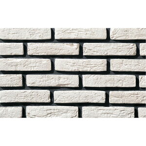 ^C BRUGGE(u[W) 205×50p 20 ÉUCN   CeA