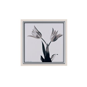 �C���e���A�A�[�g �A�[�g�f�R �A�[�g�|�X�^�[ �X�}�[�g�ʐ^�A�[�g 457×457×26 AR7051 �A�[�g�p�l�� �k�� ���_�� ���� �� ���� ���m�g�[��