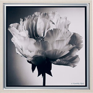 インテリアアート アートデコ アートポスター スマート写真アート 507×507×26 AR7145 アートパネル 北欧 モダン 玄関 花 横長 モノトーン