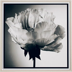 CeAA[g A[gfR A[g|X^[ X}[gʐ^A[g 707×707×26 AR7155 A[gpl k _    mg[