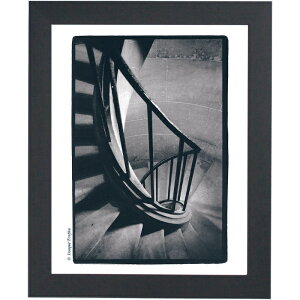 インテリアアート アートデコ アートポスター スマート写真アート 450×550×20 AR7237 アートパネル 北欧 モダン 玄関 花 横長 モノトーン