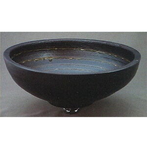 dq@ʃ{E@xMyĎ􂢔@Dl@015-31 ʉϑ  I fUC