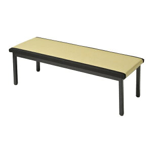 �y�󒍐��Y�i�z�^�^�~�x���` ���C�X �Œ�r W120×D42×H42cm �l�l���z���s�� [TTM-1200]