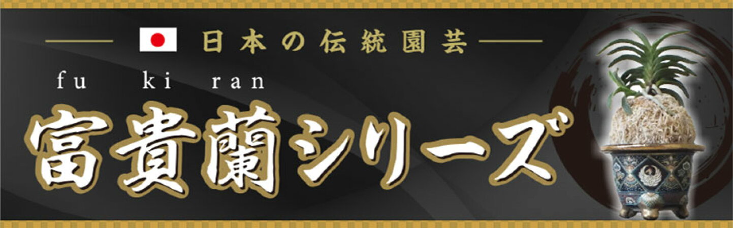 楽天市場 | 岡部グリーン有限会社 - 富貴蘭 『金兜 金甲覆輪 