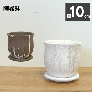 ϗtA   픫 3.5 fUC Z~bN \[T[t IׂJ[ uE zCg   D A Aؔ lC j a hV Mtg v[g 蕨 Ce