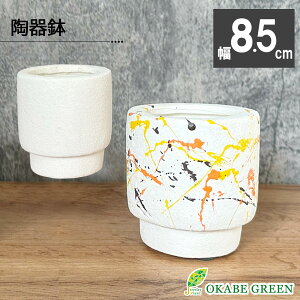 ϗtA   픫 3 fUC \[T[t yCg zCg  A Aؔ lC j a hV Mtg v[g 蕨 CeA  [ AD34-85/DB60]