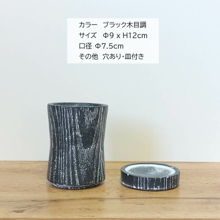 楽天市場】【店内全品ポイント2倍】 母の日 鉢植え ギフト プレゼント 