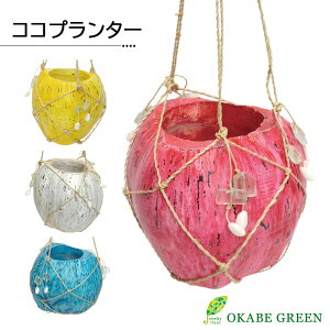 yXSi2w10OFFN[|zzz ϗtA ݂艺^Cv RRv^[ Jo[  RR̎v^[ sN CG[ zCg u[  A j a 