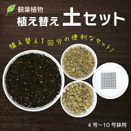 観葉植物 土 室内用 【植え替え土セット】 培養土 鉢植え 容量が選べる 4号 5号 6号 7号 8号 9号 10号 選…