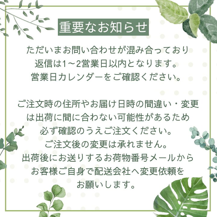 楽天市場】母の日 観葉植物 大型 屋外 ソテツ 10号 【現品 
