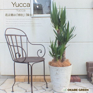 yXSi2w10OFFN[|zzz ϗtA ^ bJ 8 d̂AeB[N̔Jo[ bsO  ^ A lC j a hV Mtg v