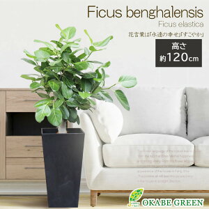 ϗtA ^ S̖ xKVX 8 yiz xKS A[gXg[Jo[ bsO M y   A lC j a hV Mtg v[