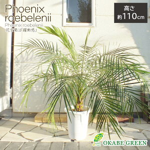 yXSi2w10OFFN[|zzz ϗtA ^ V tFjbNX xj[ 8 vX`bN bsO Mt  A lC j a hV Mtg 