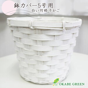 ϗtA Jo[  5p |Jo[ PPCi[t  蕨 CeA Ԋ lC a  Vbv A s lC 