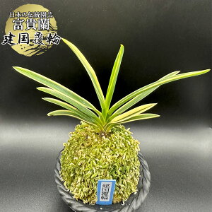 xM    yiz PRNtN 1{ i ȕ畢ւɕωĂĐ[ւĂɐiŖʔł T473 tEL tE  