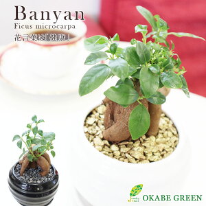 yN[|zzz ϗtA  KW}̖ tBJX 4 Iׂ ۂⓩ픫 bsO ܂ Mt   A Ԍt K̖ a hV Mtg