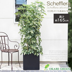 ϗtA ^ VFt zRJ|bN IׂtF nbs[CG[   10 GCAX L[ut bsO ϗtA ^ htJmL  j zj V