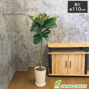 ϗtA ^ ChS S̖ \tBA tBJX yIׂ`z 6 vX`bN bsO Mt o[N`bv  A lC j a hV Mtg v[