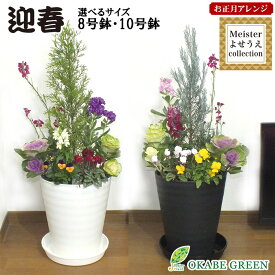 【店内全品P5倍決算セール3/31まで】 花 ギフト お正月花 飾り 寄せ植え 玄関 選べるサイズ 8号 10号 白黒セラアート鉢 受皿付 花の寄せ植え 鉢の色が選べる 葉牡丹踊り お誕生日 母の日 ギフト プレゼント 送料無料