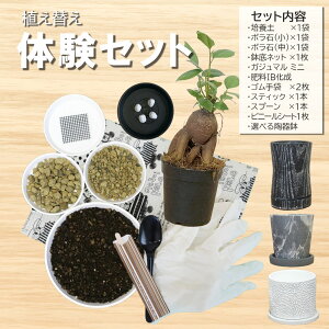 ϗtA y p Aւ ̌ yZbg y5000~|bLz |{y KW} 엿 IB lbg {  ܂Ƃߔ y ȒPɐAւo  [AւIvV