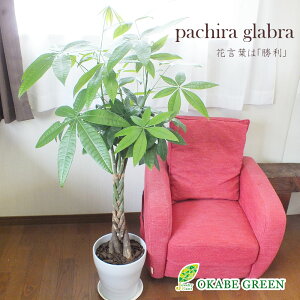 ϗtA ^ pL 8 픫 o[N`bvt bsO Mt  A lC j a hV Mtg v[g 蕨 CeA 