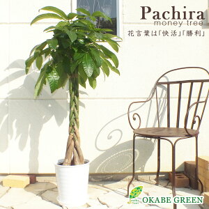 yXSi2w10OFFN[|zzz ϗtA ^ pL^ ˂ 8.5 fGȔWvvX`bN x{t bsO Mt  A j a 