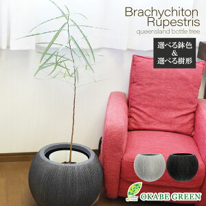 ϗtA ^ uLLg {gc[ 7 Iׂ` yiz ی^v^[ bsO  A lC j a hV Mtg v[g 蕨 CeA 