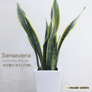 yXSi2w10OFFN[|zzz ϗtA TXxA 6 O bsO  A j a hV Mtg v[g zj Vzj Ce