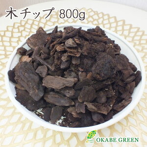 yN[|zzz ϗtA yB ؃`bv VR o[N 800g  A j a CeA }`O yʁz [AւIvV]