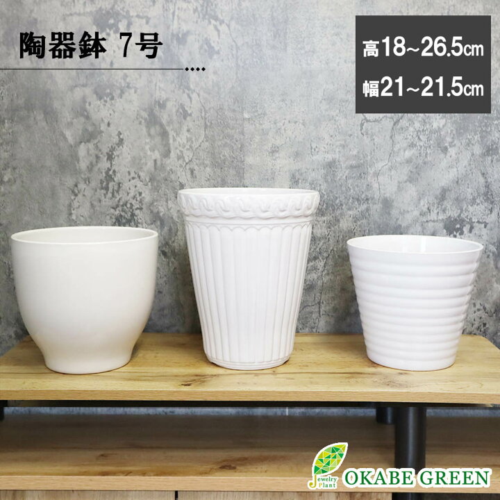 楽天市場】母の日 観葉植物 鉢 選べる 7号鉢 6号鉢 陶器鉢 おしゃれ 