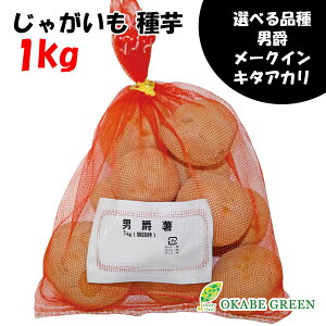 yX[p[Z[2w10OFFz WKC  Ⴊ 1kg Iׂi j [NC L^AJ jV^J fW} kCYiϔn鏒 t HA ؉  ͔|p 