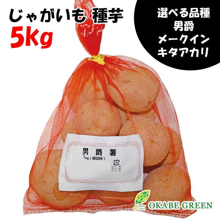 楽天市場】ジャガイモ 種芋 じゃがいも 5kg 秋植え 選べる品種 