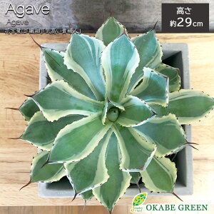 yXSi2w10OFFN[|zzz ϗtA AKx gˊ Iׂ` Zg bsO A  A j a hV Mtg v[g 蕨 C