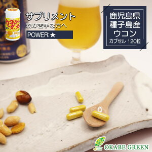 ER̍ JvZ 120 N⏕Hi Tv Tvg ER 3̃ER N ݉ ݂  hV̓ Ε 