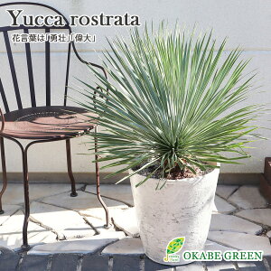 ϗtA ^ O bJ Xg[^ 11 yiz AeB[N̔ bsO t@Co[ bNK[f nA Mtg v[g A ^ j JX