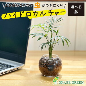 ϗtA nCh{[ nChJ`[ e[uV yȂ ~jϗt a hV Mtg v[g S   JXj j   rO CeA 