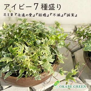 ϗtA ACr[ wf 7퐷 񂹐A bsO 픫  A lC j a hV Mtg v[g 蕨 zj JXj CeA 