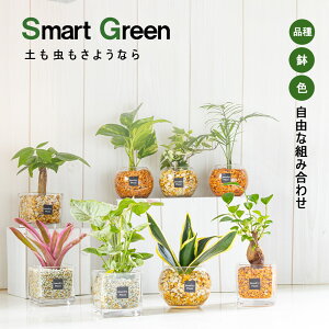 ϗtA nChJ`[ [ICg ygȂ Iׂi ~j ϗt pL KW} TXxA ACr[ |gX V lIQA VSjE a hV Mtg v[