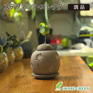 y󏭕iz ϗtA Xet@jA GN^  yiz ~j fUC픫 bsO 򍪐A R[fbNX Ai A j a v[g Mtg 蕨 C