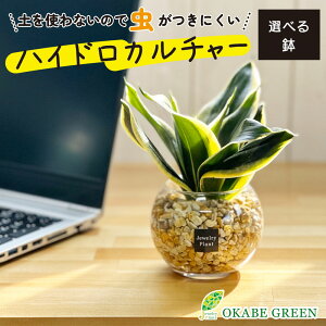 ϗtA nChJ`[ TXxA x[W[ICg ygȂ ~j ϗt a hV Mtg v[g S   JXj    CeA 