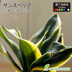 ϗtA  TXxA ~j 3.5 IׂF J[vX`bN bsO A ~jϗtA TZxA gmI  A j a hV Mtg v[