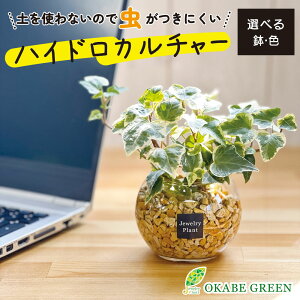 ϗtA nChJ`[ ACr[ wf x[W[ICg ygȂ ~j ϗt a hV Mtg v[g S   JXj    CeA 