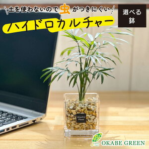 ϗtA nChJ`[ e[uV x[W[ICg ygȂ ~j ϗt a hV Mtg v[g S   JXj    CeA 