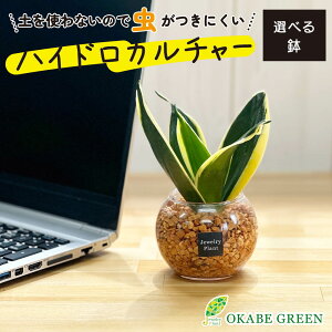 ϗtA nChJ`[ TXxA IW[ICg ygȂ ~j ϗt a hV Mtg v[g S   JXj    CeA 