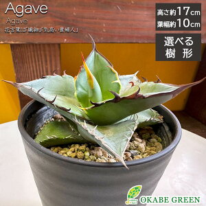 ϗtA  AKx eB^m^ u[ `^m^ Iׂ` yiz 3.5 ZA[g bsO Mt A lC  A j a hV Mtg v[